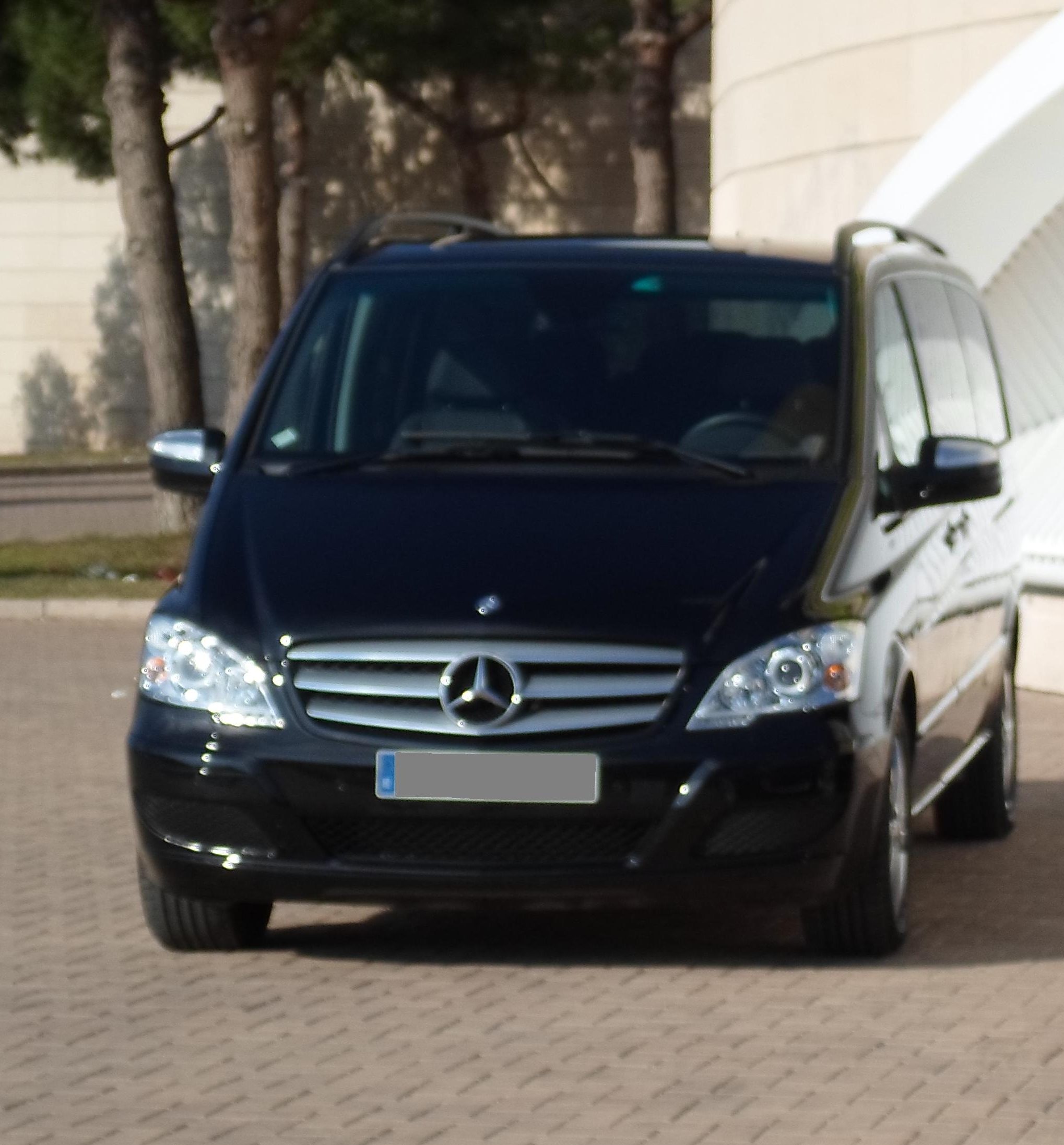 Mercedes Viano